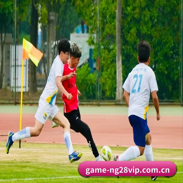 南宫28综合平台 APP